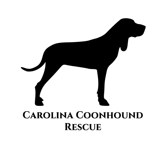 Coonhound rescue best sale